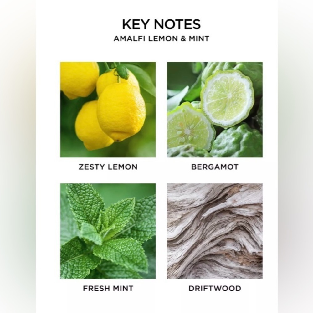 NEST Fragrances Amalfi Lemon & Mint Candle - Picture 3 of 5